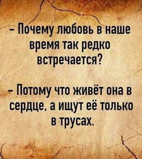 Безумная политота ( Вечерний выпуск №5)