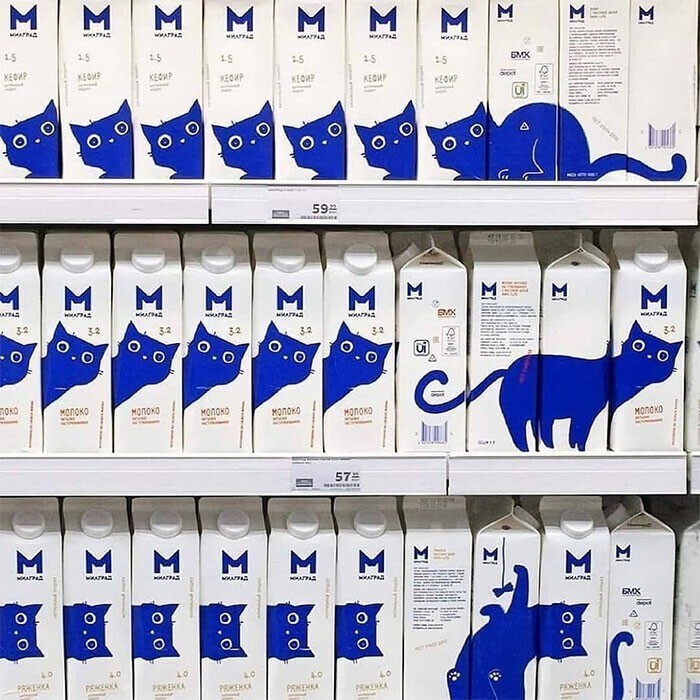 21. Кошки любят молоко!