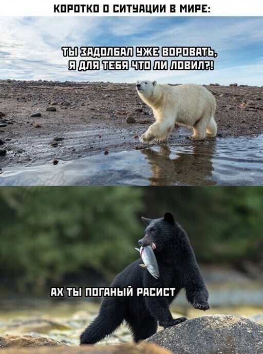 Безумная политота ( Дневной выпуск №6)