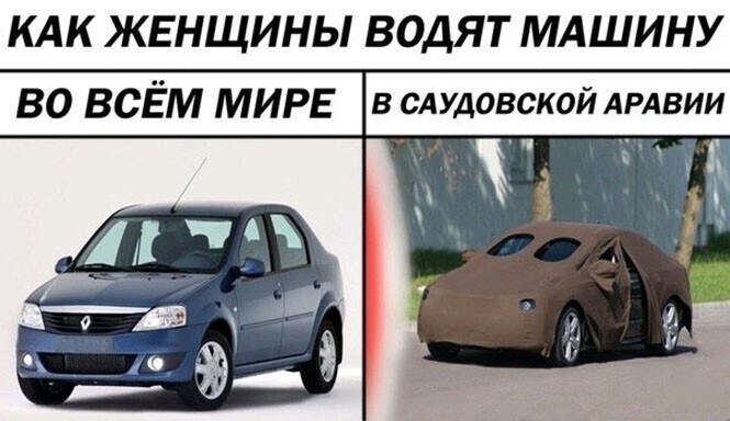 Безумная политота ( Дневной выпуск №6)