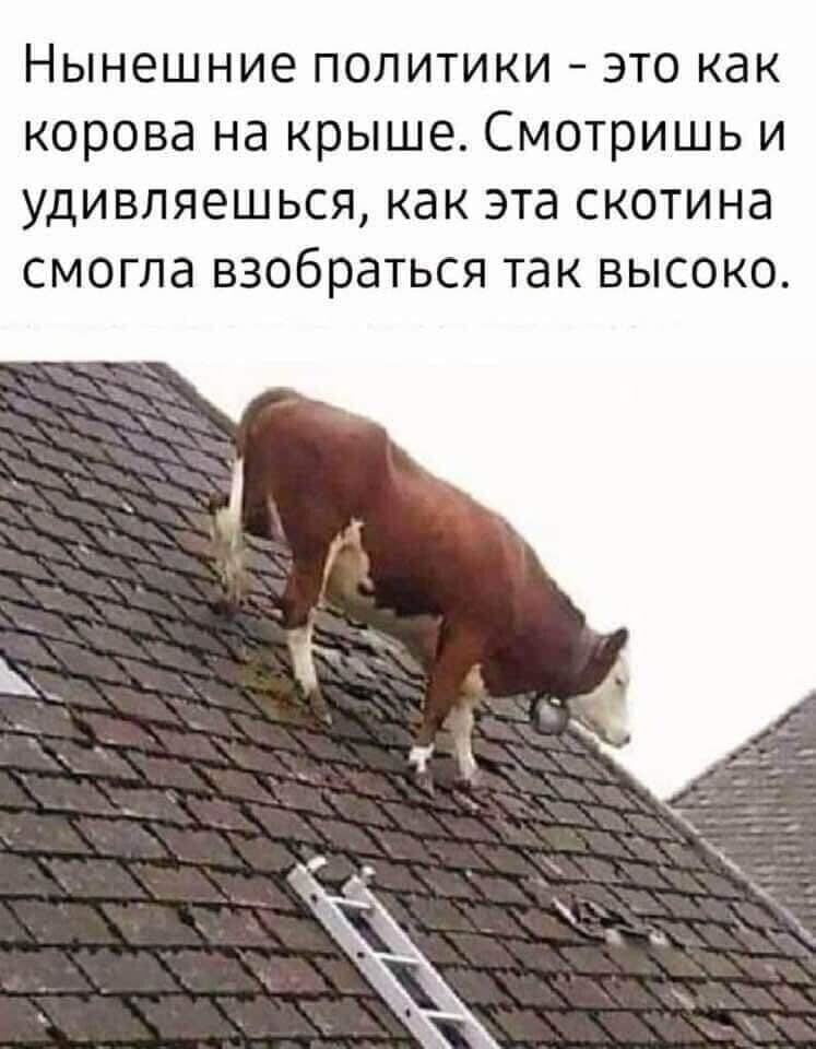 Нет здесь черного и белого. И у серого тысячи, миллионы оттенков