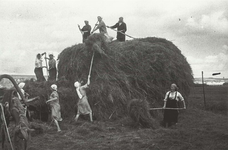 Великая Отечественная война. Тыл