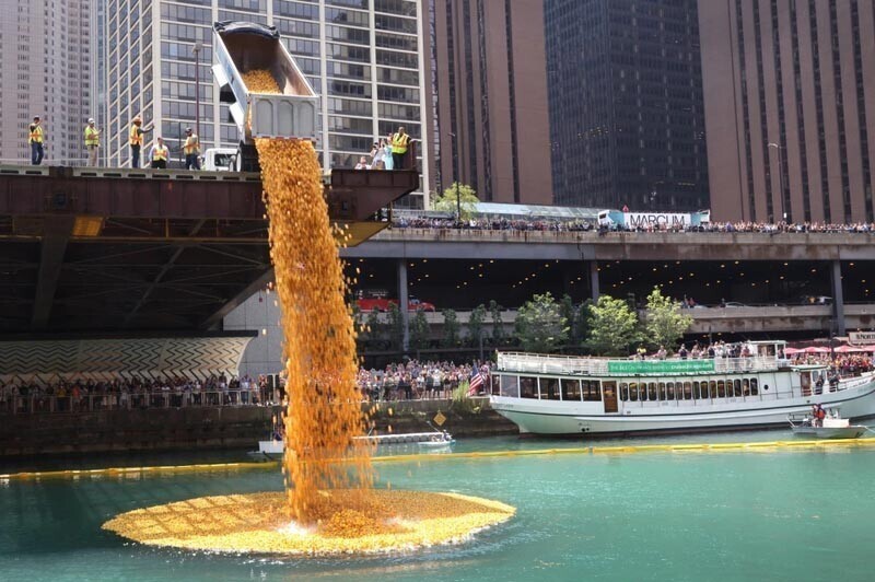 Тем временем В Чикаго: 70 000 резиновых уточек сбросили в реку