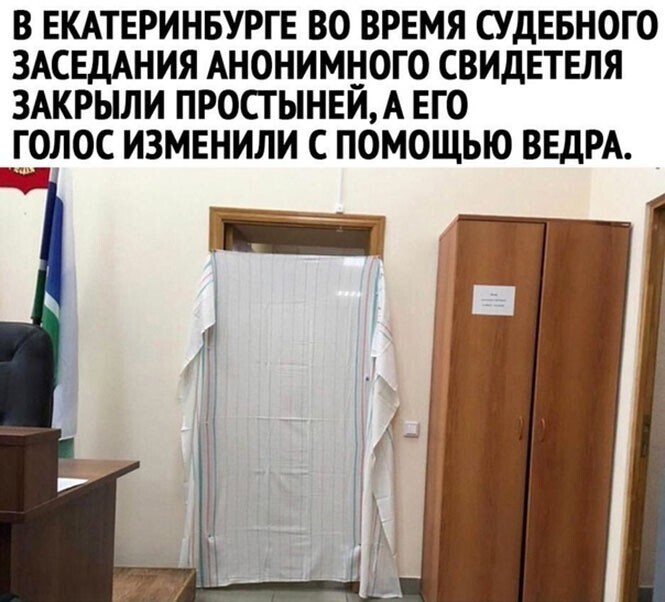 Смешные и познавательные картинки