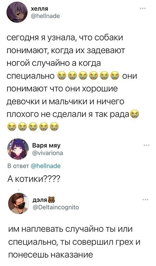 Смешные и познавательные картинки