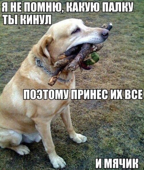 Воскресный Калейдоскоп позитива