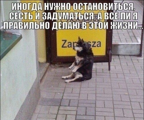 Воскресный Калейдоскоп позитива
