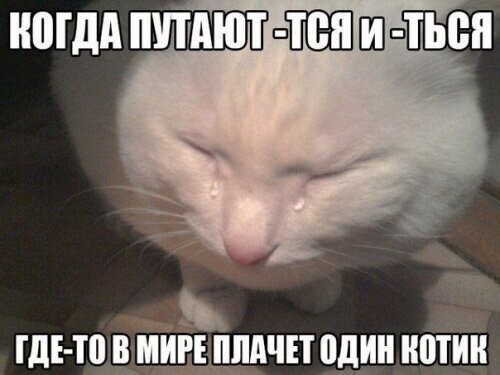 Воскресный Калейдоскоп позитива