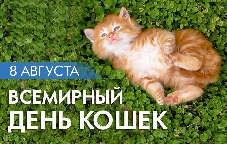 И тут котов мужиков обделили, тогда я скажу - Котаны, с Праздником !!!