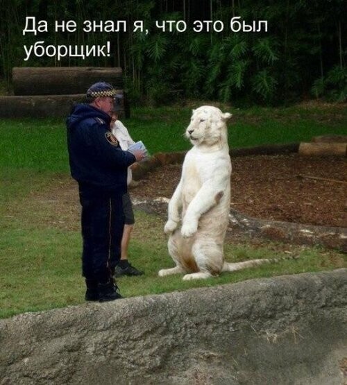 Воскресный Калейдоскоп позитива