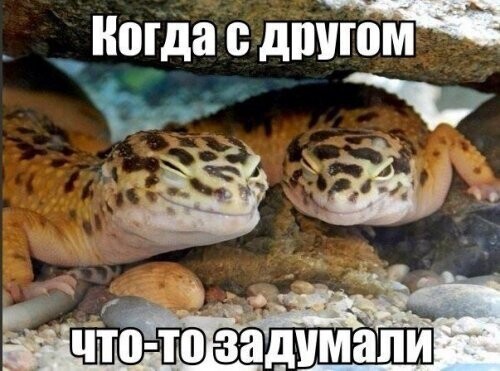 Воскресный Калейдоскоп позитива