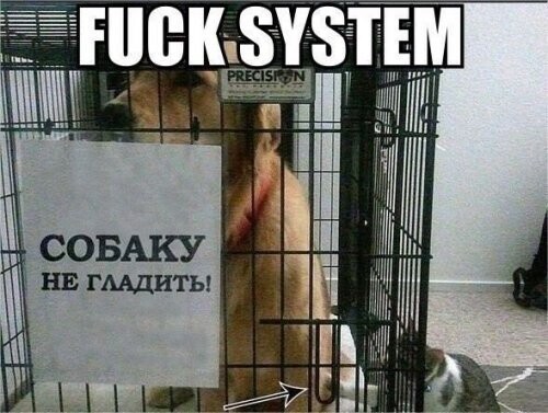 Воскресный Калейдоскоп позитива