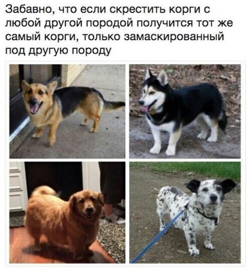 Воскресный Калейдоскоп позитива