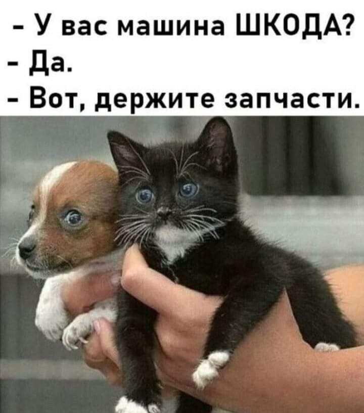 Воскресный Калейдоскоп позитива