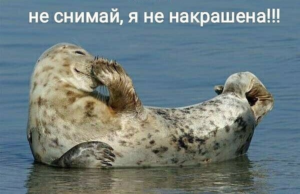 Воскресный Калейдоскоп позитива