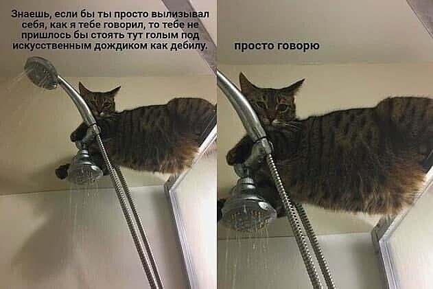 Воскресный Калейдоскоп позитива