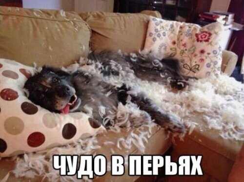 Воскресный Калейдоскоп позитива