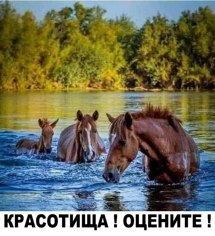 Лето, пока что