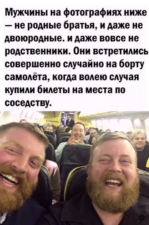 Смешные и познавательные картинки