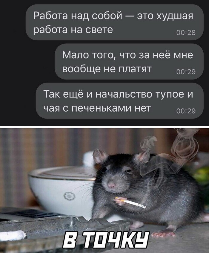 Немного картинок