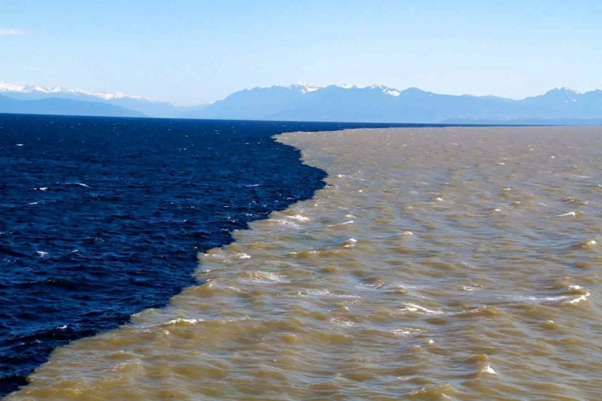 Удивительное место, где два океана соприкасаются, но не смешиваются между собой