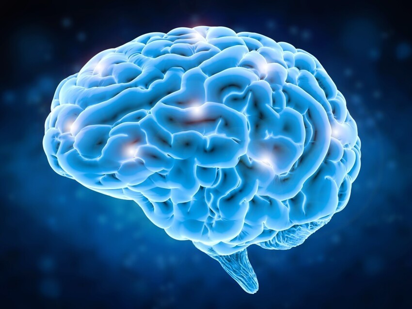 Может ли закончиться объем памяти человеческого мозга?