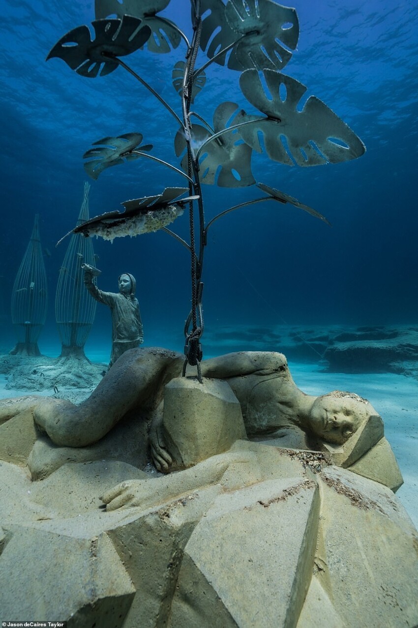 Скульптор создал сказочный подводный лес у побережья Айя-Напы