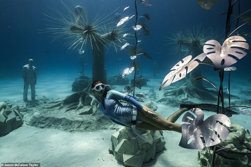 Скульптор создал сказочный подводный лес у побережья Айя-Напы