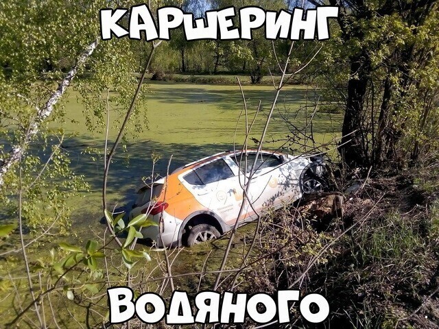 Автовсячина