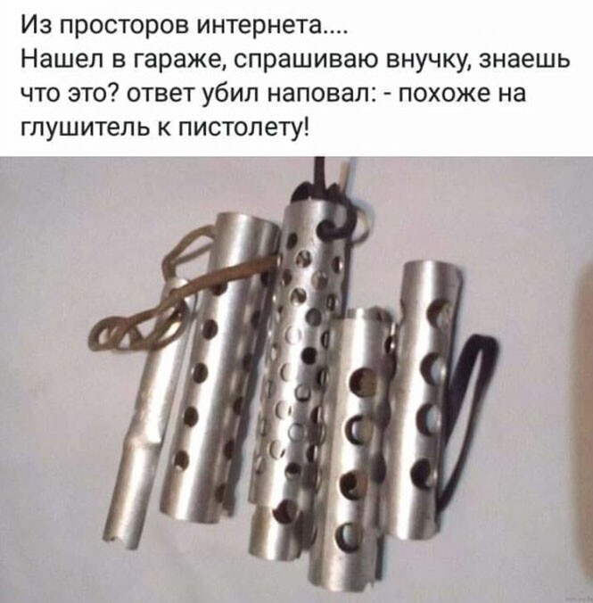 Смешные и познавательные картинки