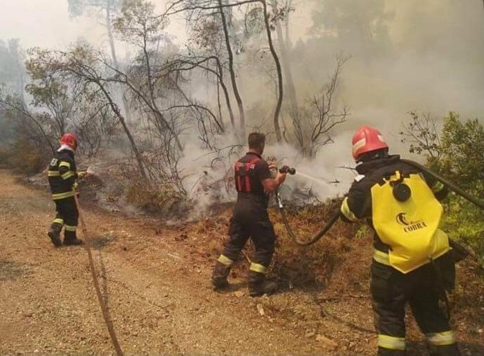 Пожарные из Румынии за работой