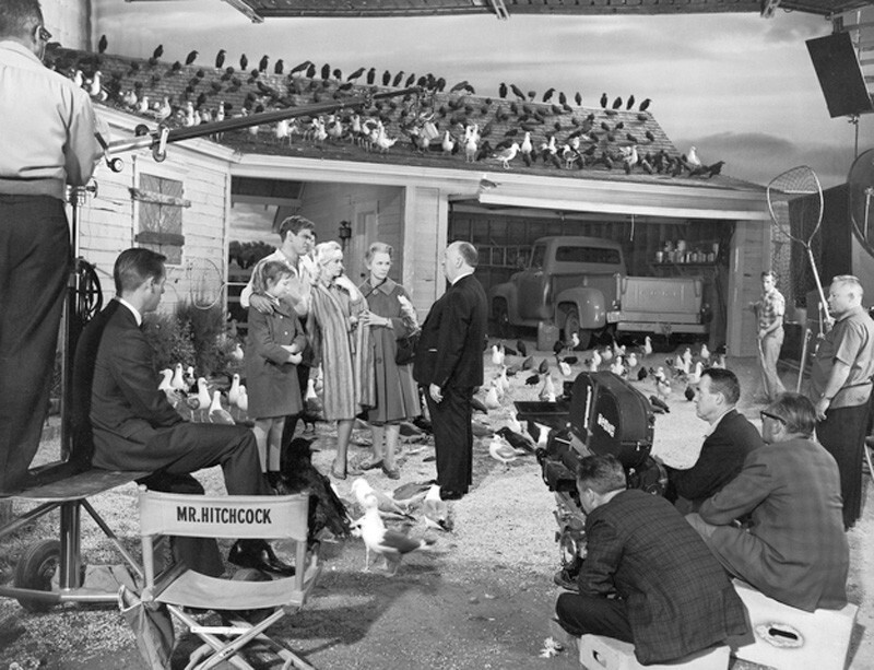 На съемочной площадке фильма «Птицы», 1963 год.