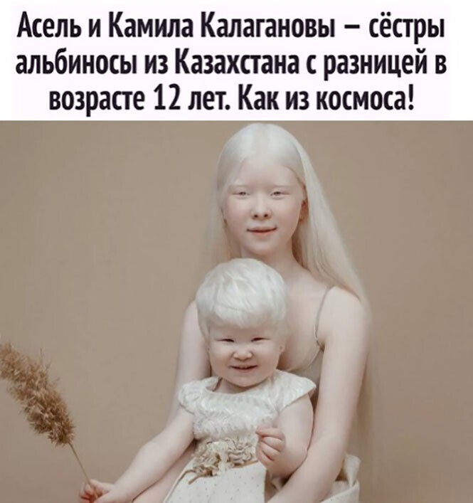 Смешные и познавательные картинки