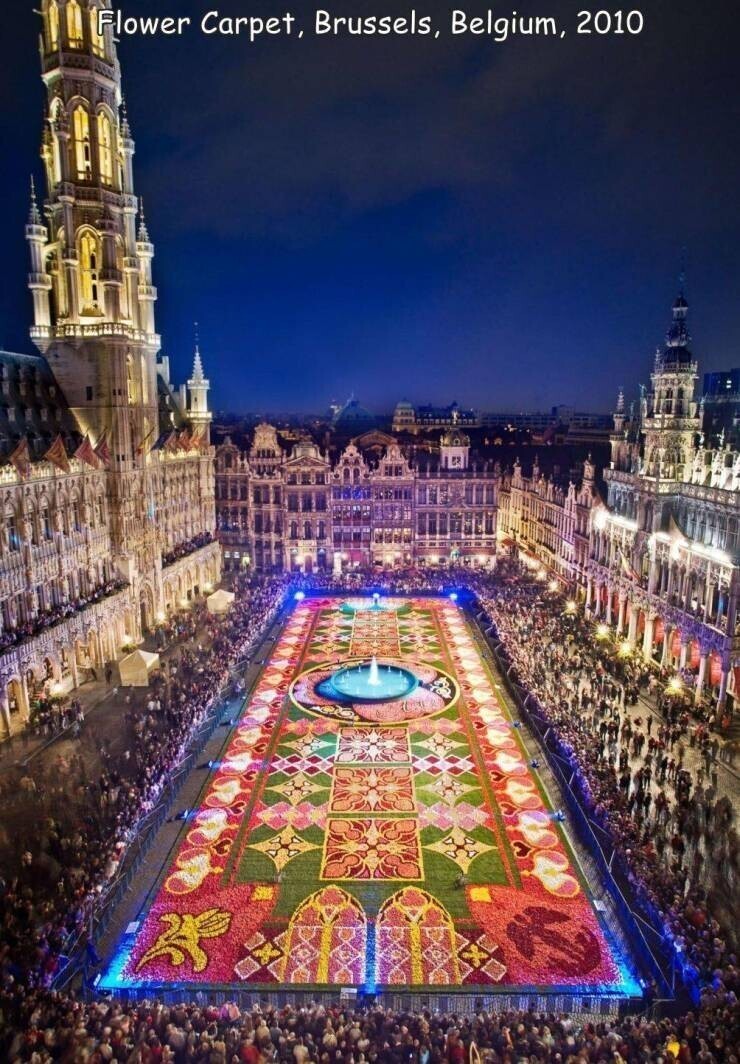 брюссель столица бельгии