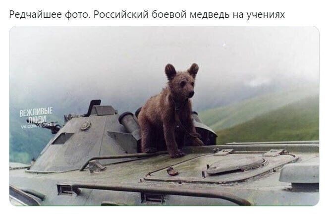 Полит. кухня вып.№ 16