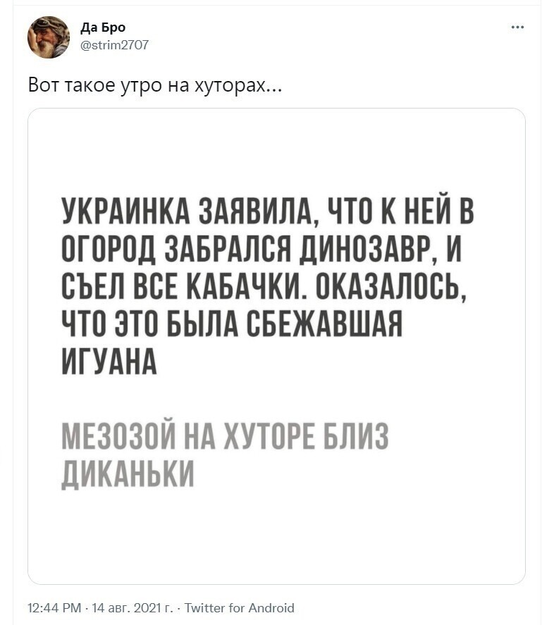 О политике и не только