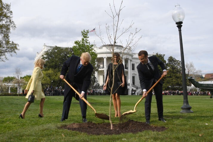 В 2019 году Дерево дружбы, которое президенты Франции и США посадили у Белого дома как символ дружбы, погибло, когда его поместили в карантин, "который обязателен для любого живого организма, импортируемого в США"