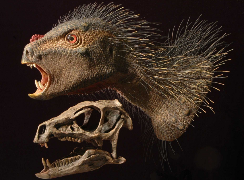 Гетеродонтозавр: Динозавр со дна пищевой цепочки, но зато его лёгкие были настолько огромны, что крепились аж к тазу