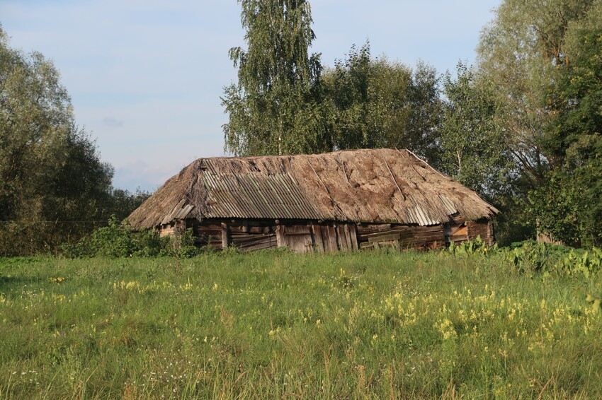 Белорусское полесье фото