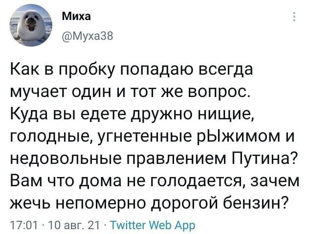 О политике и не только