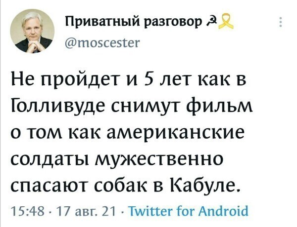 О политике и не только