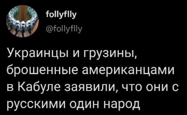 Политическая кухня. Выпуск №20.( Вечерний выпуск )