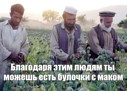 Политическая кухня. Выпуск №20.( Вечерний выпуск )