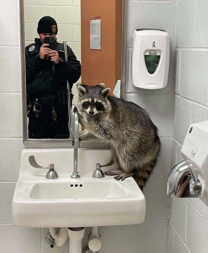 Пойман за преступлением в туалете