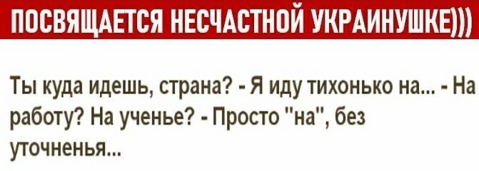 О политике и не только