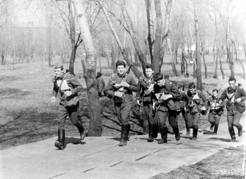 Взгрустнулось под рюмочку - 