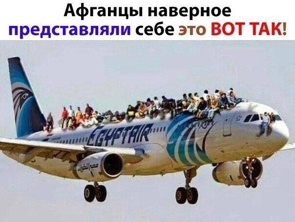 Политическая кухня. Выпуск №22 ( дневной выпуск)