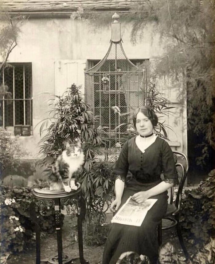 Парижанка в своем саду, 1910