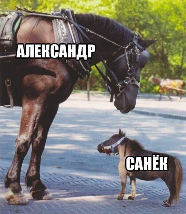 ...тёскам ПРИВЕТ, продолжаем)