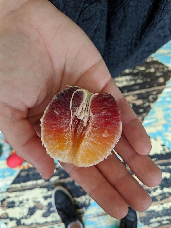 3. Симметричный цветовой градиент внутри фрукта